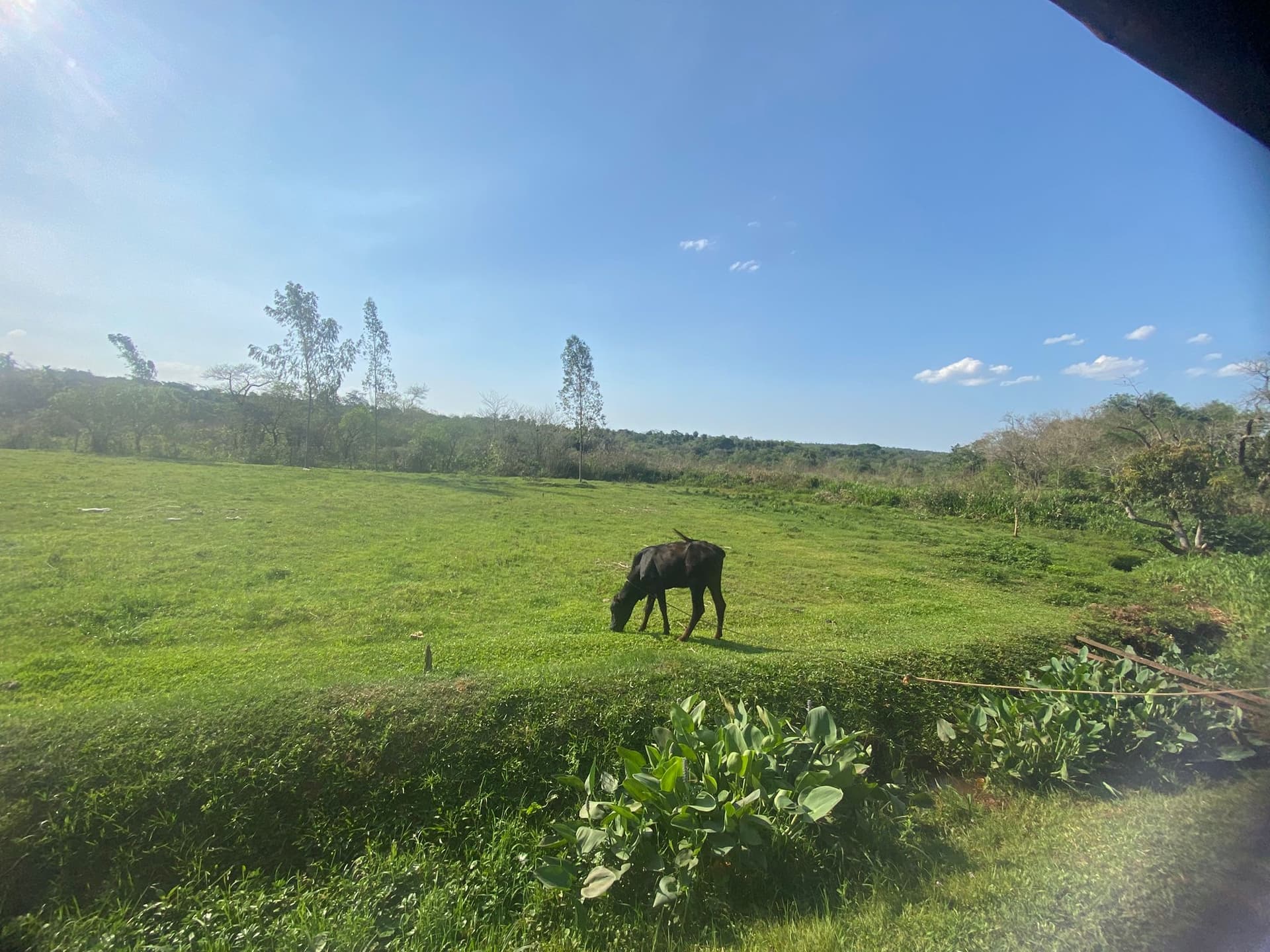 Propiedad Única en Itauguá Compañía Potrero Avendaño