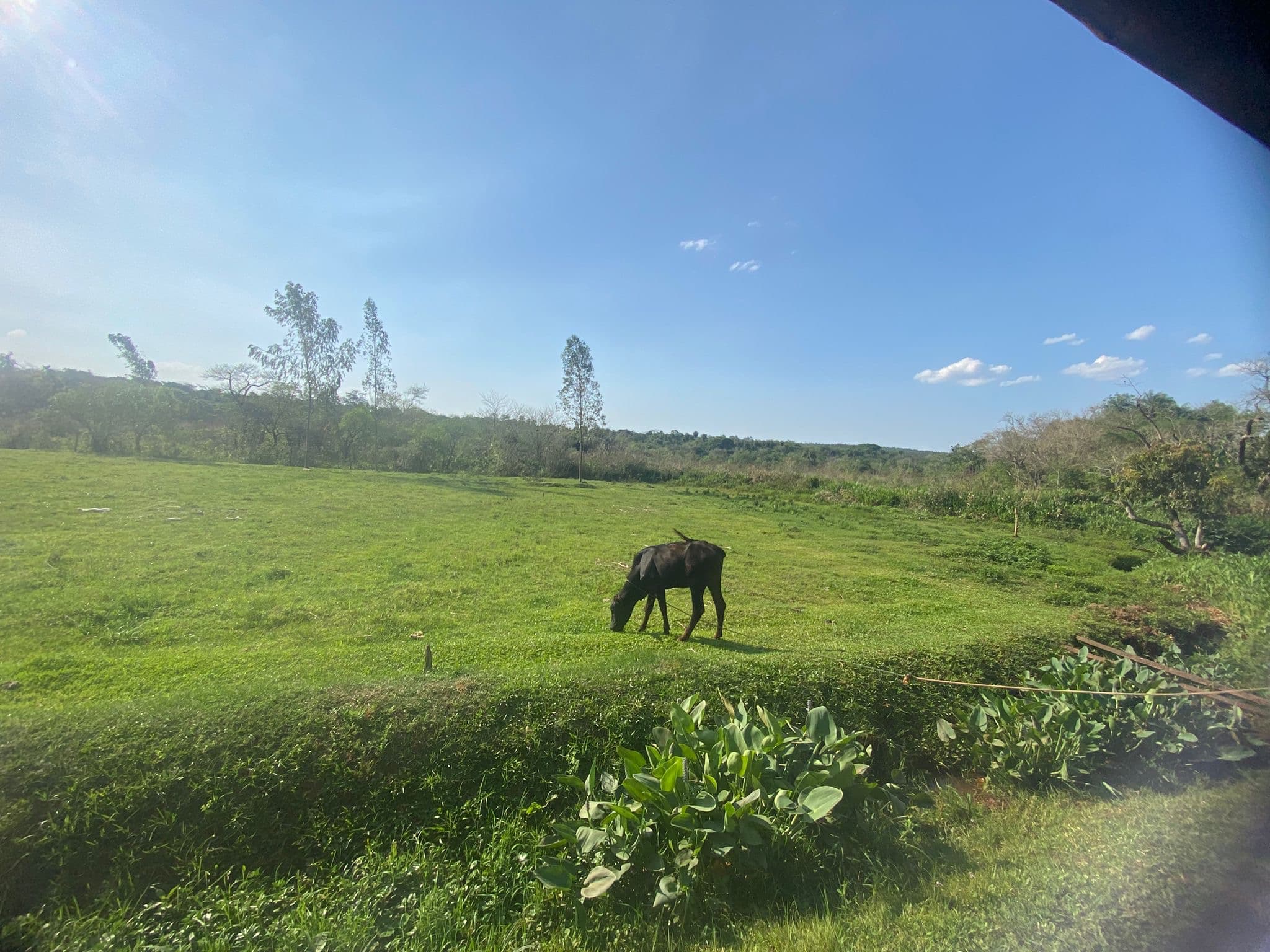 Propiedad Única en Itauguá Compañía Potrero Avendaño