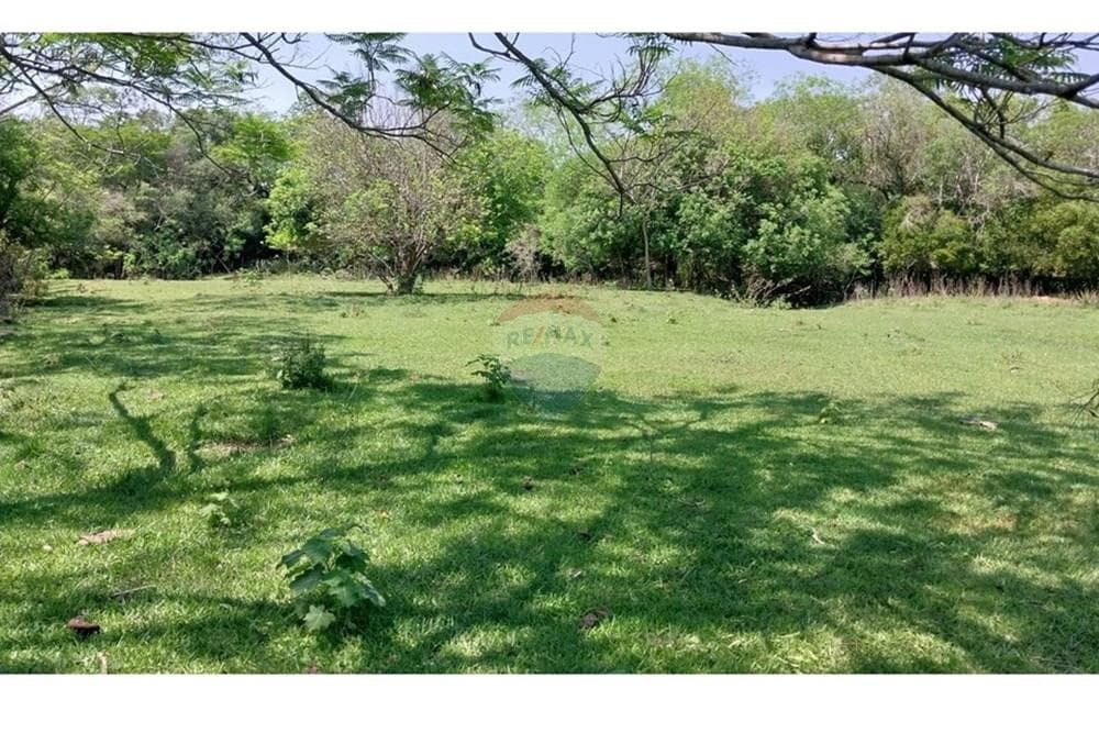 Estancia Ganadera de 72 HA en Isla Pucú - A 80km de Asunción, foto 4