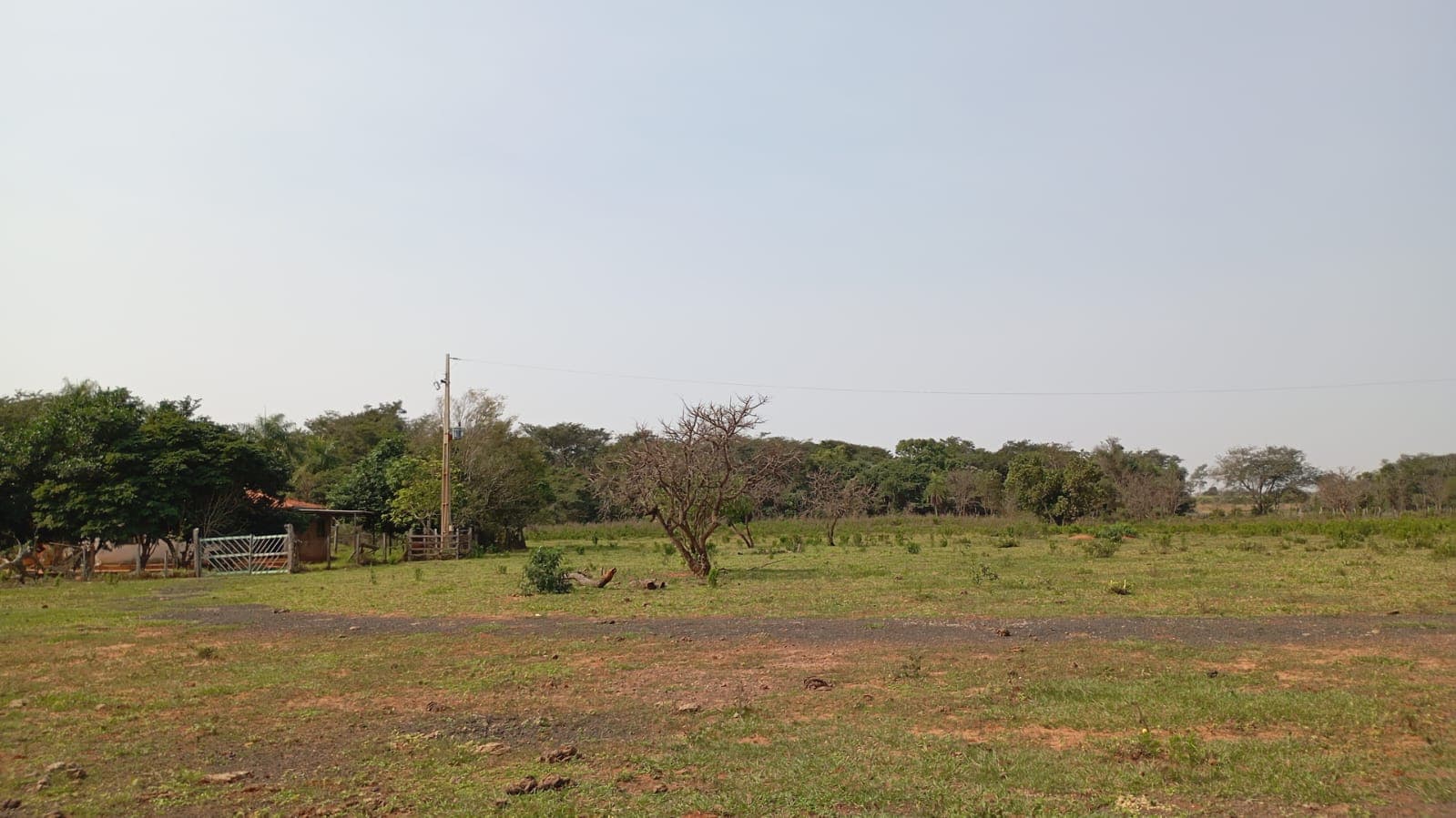 Venta De Terreno – 195 Hectáreas – Canindeyú