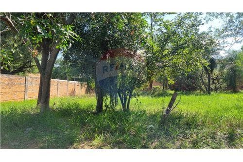 Terreno-Venta-PY Asunción Santa Ana, foto 2