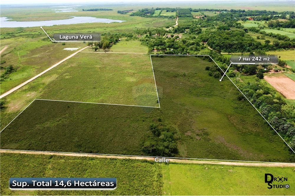 En venta 14 hectáreas sobre ruta asfaltada en Nueva Italia — foto 2