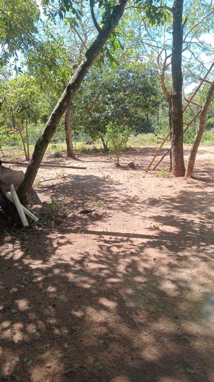 Amplio Terreno Ideal Para Casa Quinta En Nueva Colombia, foto 1