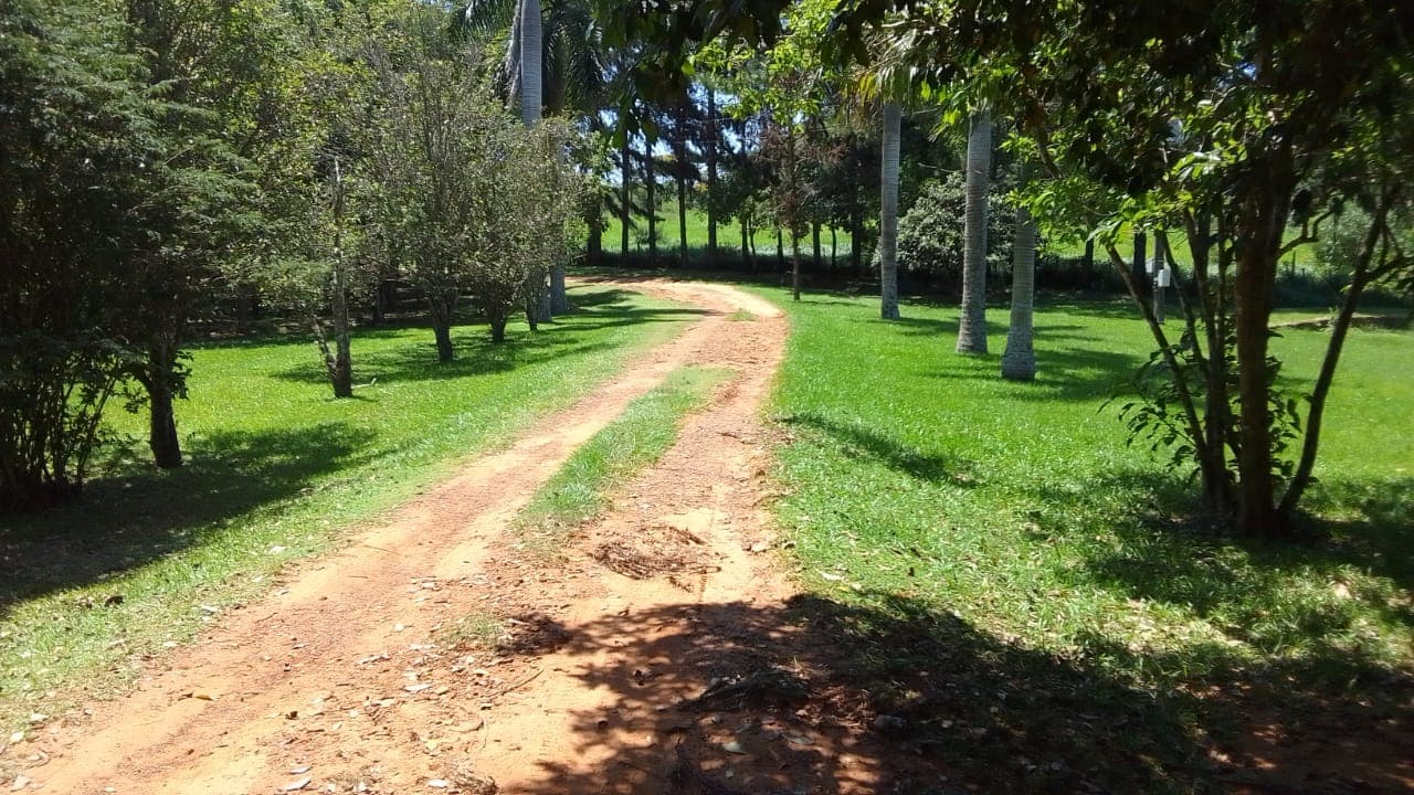 En Venta 55 Hectareas En Cordillera Con Arroyo