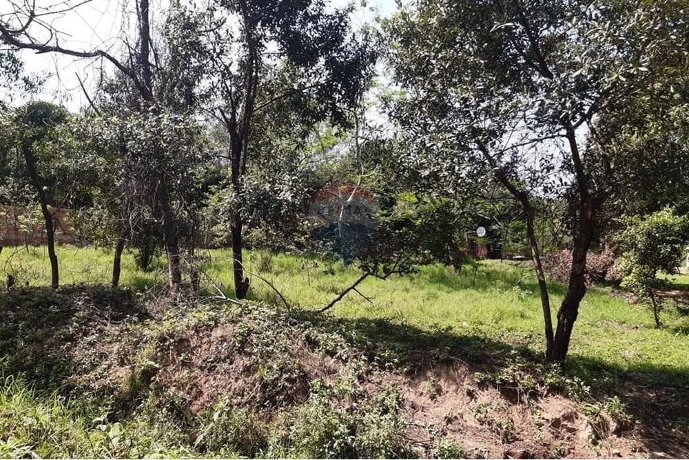 3 TERRENO EN Luque junto o separados. Paraguay, foto 2