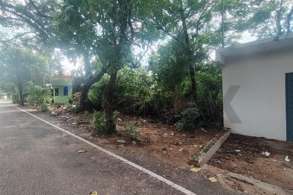 Terreno, foto 5
