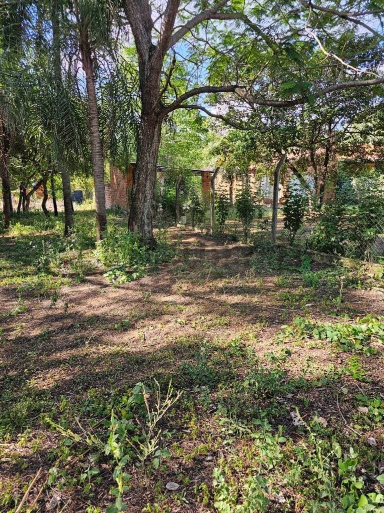 San Bernardino en venta terreno arbolado en excelente ubicación — foto 4