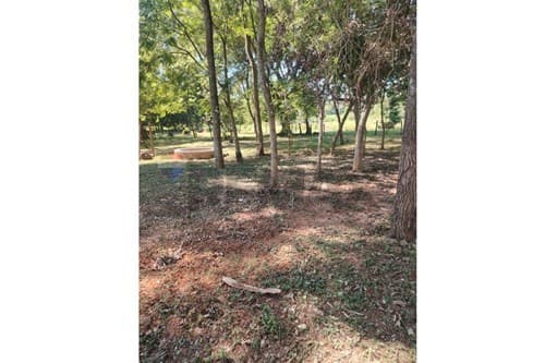 Terreno - Venta - Nueva Germania, San Pedro, Paraguay, foto 3