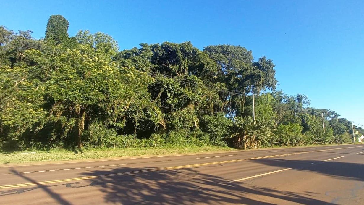 En Venta Terreno Para Inversion En Coronel Bogado, foto 5