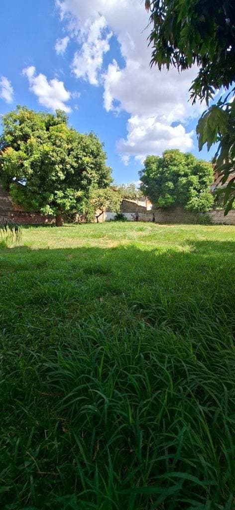 2 terrenos en barrio Herrera con amplio frente . Id 45303 — foto 5