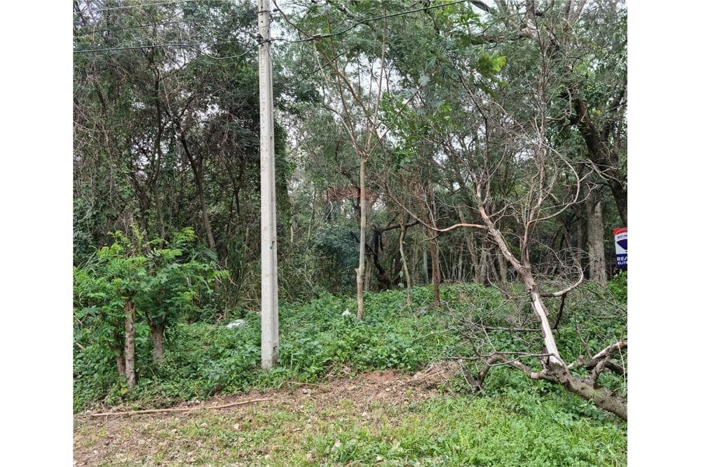 de Gran Terreno en Urbanización Surubi'i, foto 4
