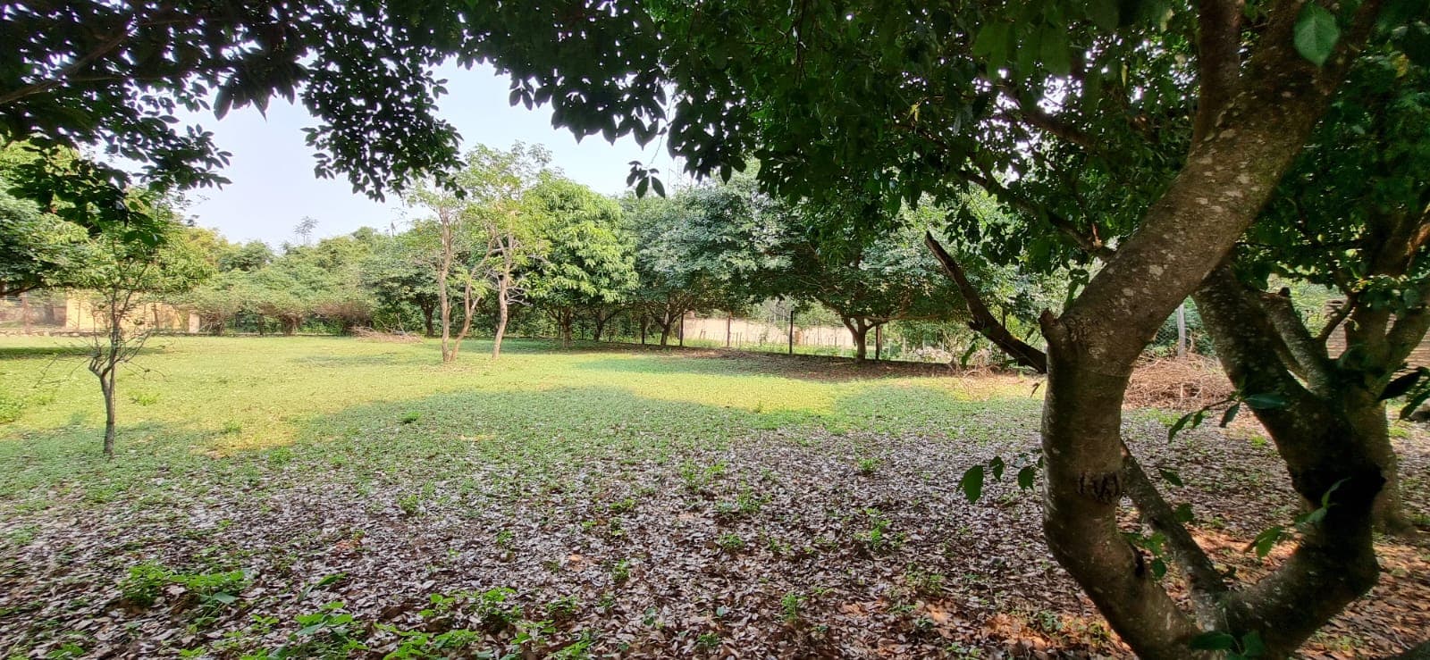 LOMA GRANDE: Exclusivo Terreno de 1.518 m² con Potencial Ilimitado — foto 5