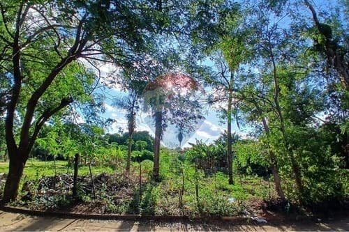 Amplio terreno en Luque - laurelty!!!!, foto 1