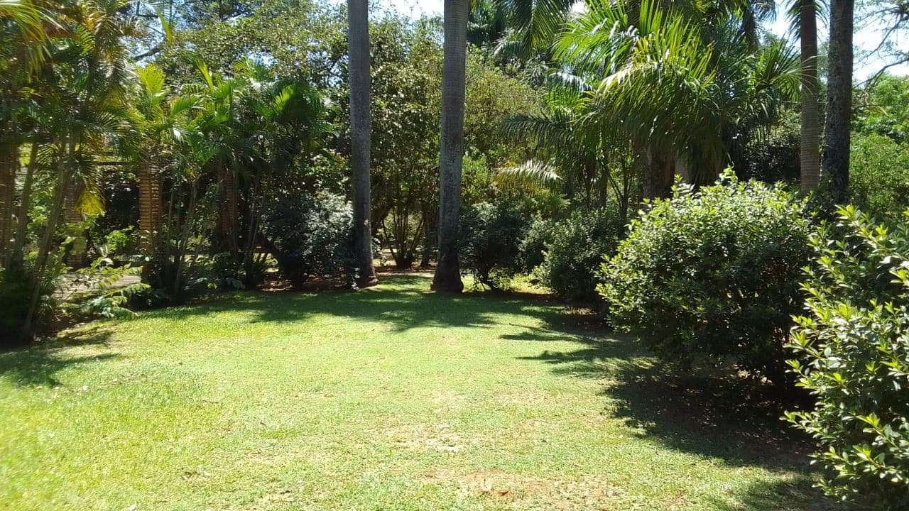 En Venta 55 Hectareas En Cordillera Con Arroyo, foto 2