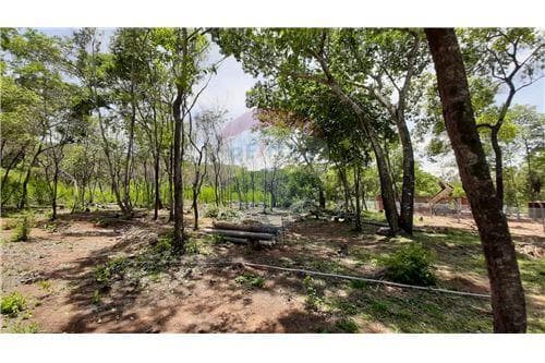 Terreno - Venta - Paraguay Cordillera San Bernardino, foto 2