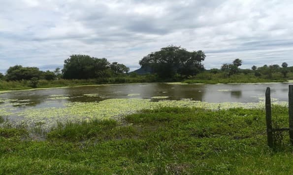 Hermosa estancia en yaguaron, foto 3