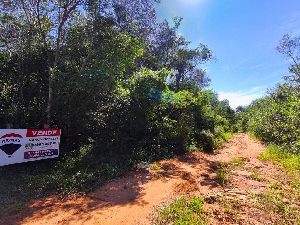 Propiedad piribebuy con arroyo!! — foto 5