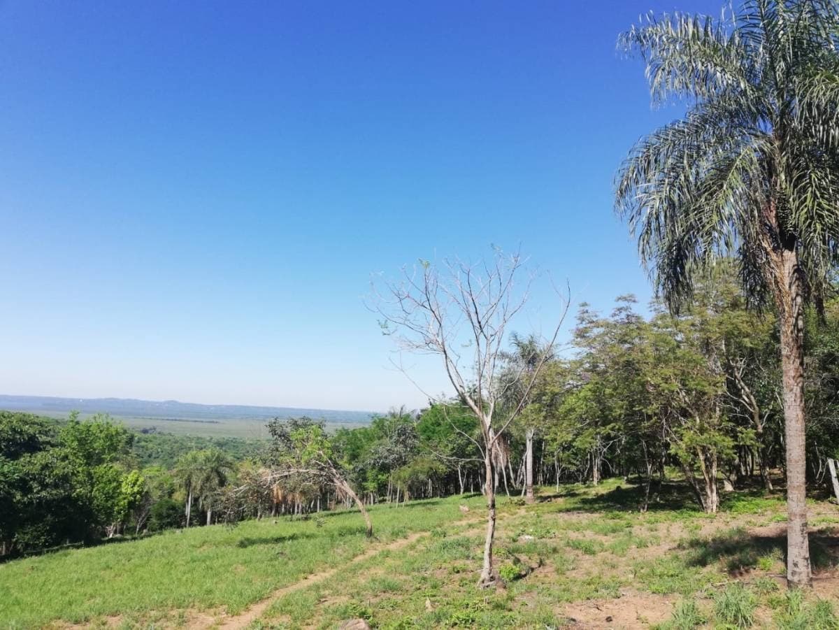 Terrenos con hermosas vistas en sanber camino a nueva colombia — foto 2