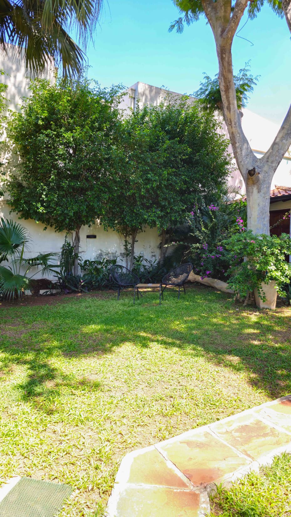 Edificio De 2 Plantas Por Mudanza - Terreno 1146m2 Negociable, foto 3