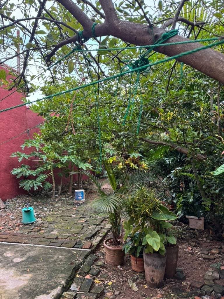 Casa en Venta 2 dormitorios - Luque, Central, foto 5