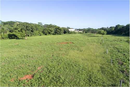 Terreno-Venta-Pedro Torres Zarate, Zárate Isla, Luque, Central, foto 5