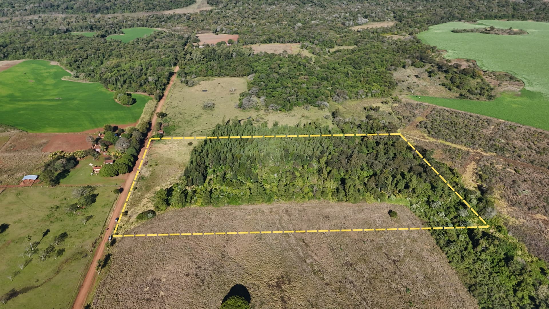 4,7 ha en San Juan del Parana - Apto para loteo, casa quinta o inversion, foto 2