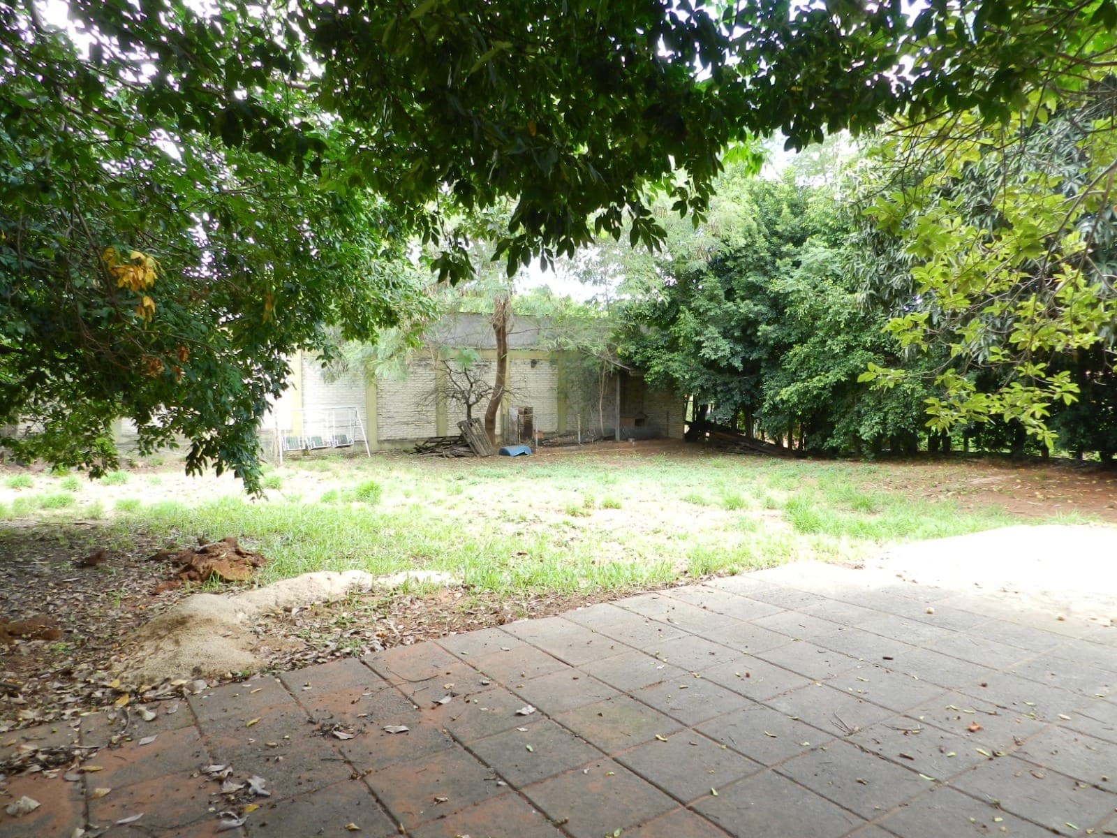 Tinglado en Villa Elisa – a solo 830 m de acceso sur — foto 3