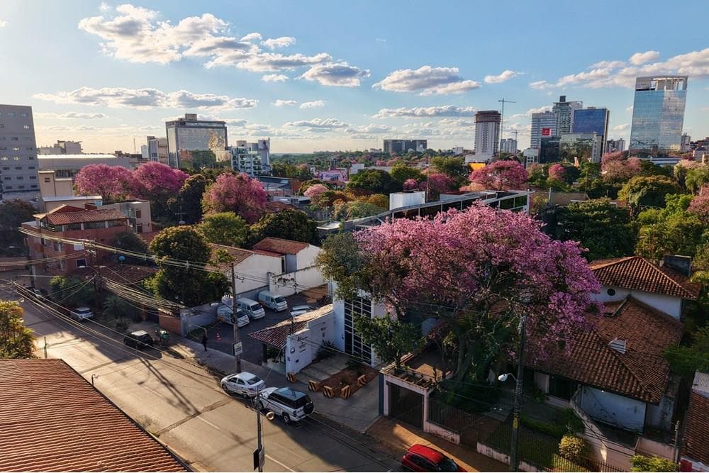 Terreno Estratégico con Locales Alquilados, foto 5