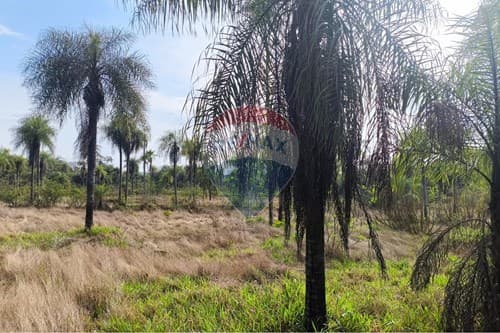 Terreno de 6 Hectáreas en Eusebio Ayala - Ideal para Desarrollo a Gran Escala, foto 1