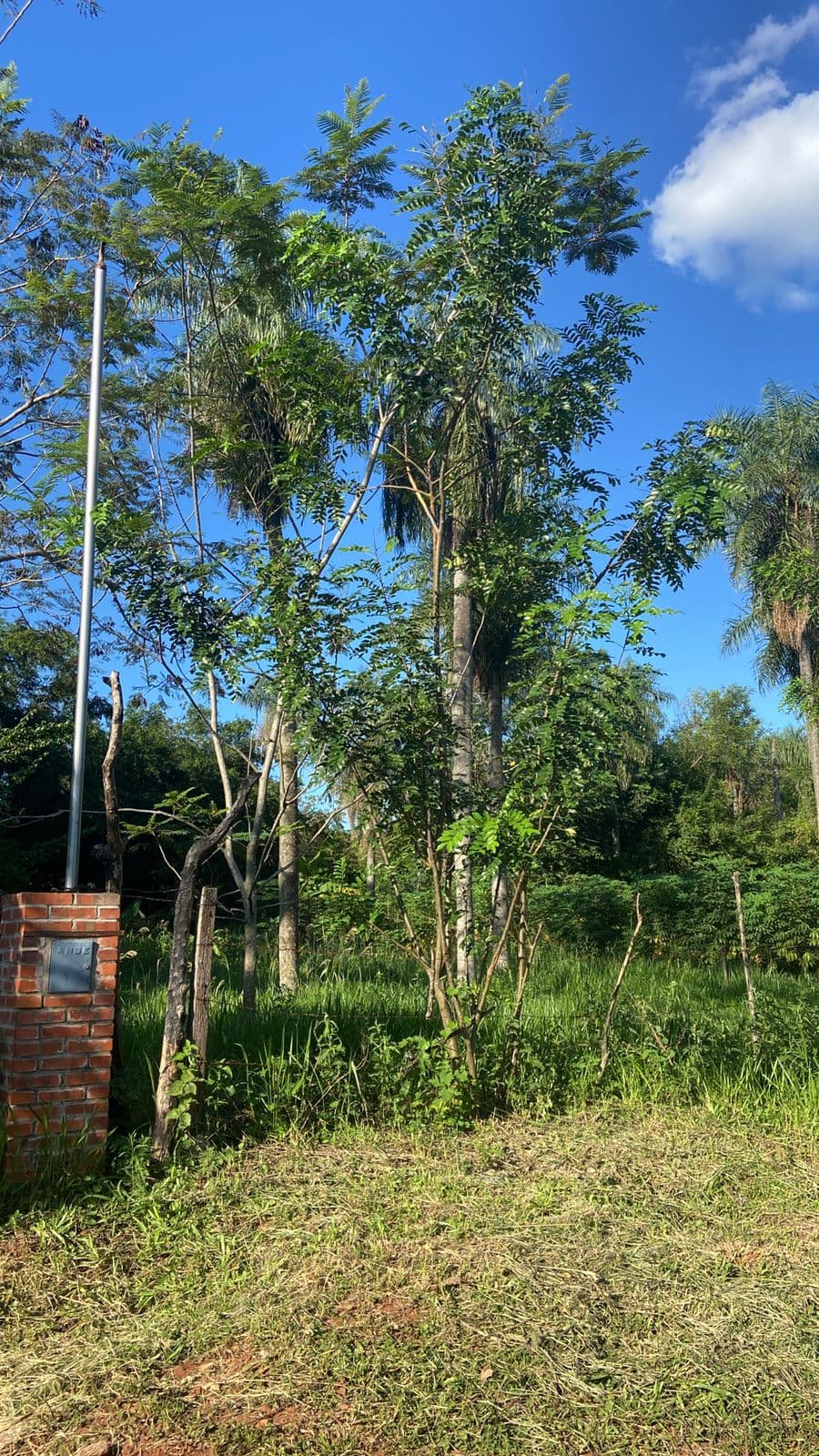 Terreno, foto 4