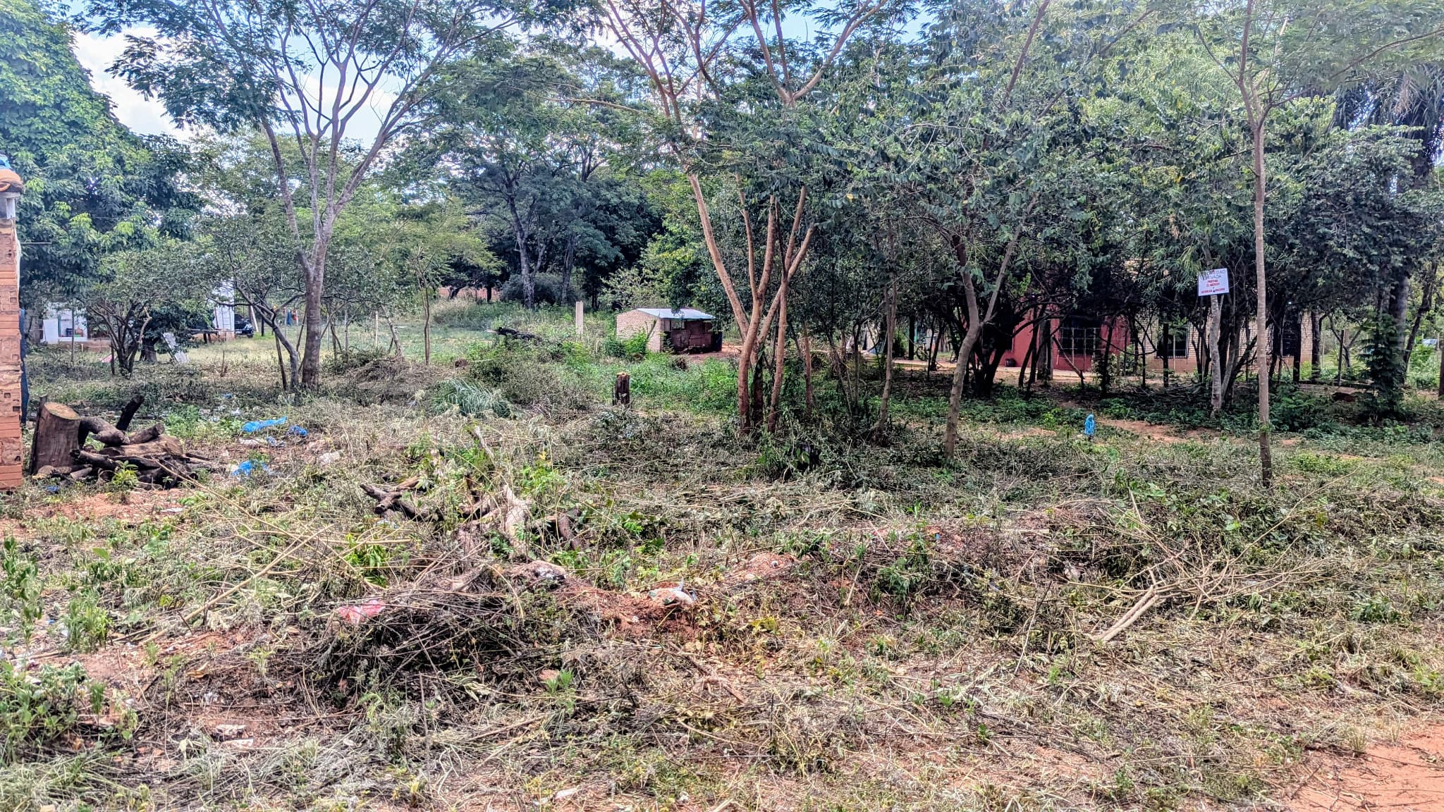 Vendo Terreno Detrás Del Vivero Pozo AzuL - Luque