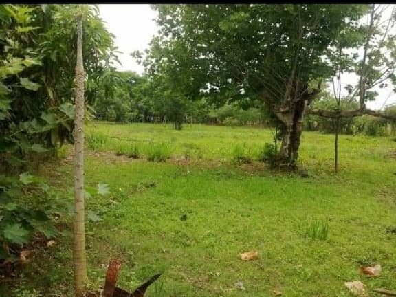 Excelente Oportunidad - Hermoso Terreno En Encarnación — foto 4