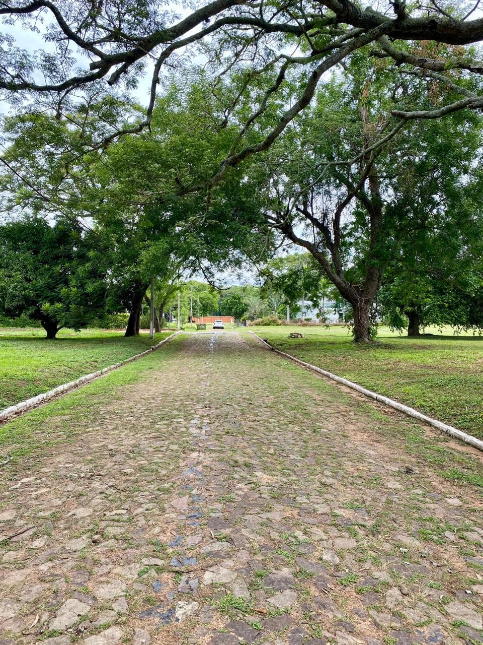 Hermoso Terreno de 1.000 m2 en San Bernardino - CLLA6611800, foto 4