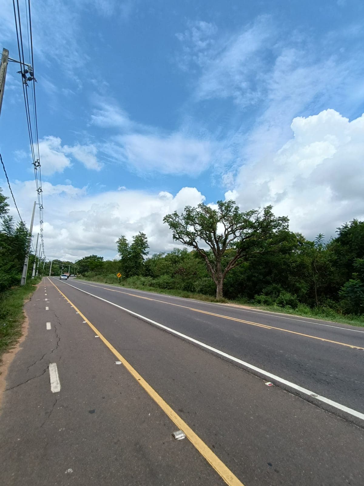 7 Hectáreas Sobre la Ruta Luque Sanber, Tarumandy - LLA5962531, foto 2