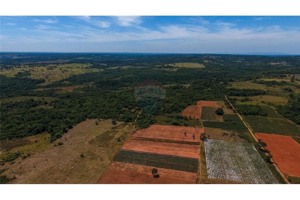 Campo fertil agroganadero en coronel oviedo, foto 3