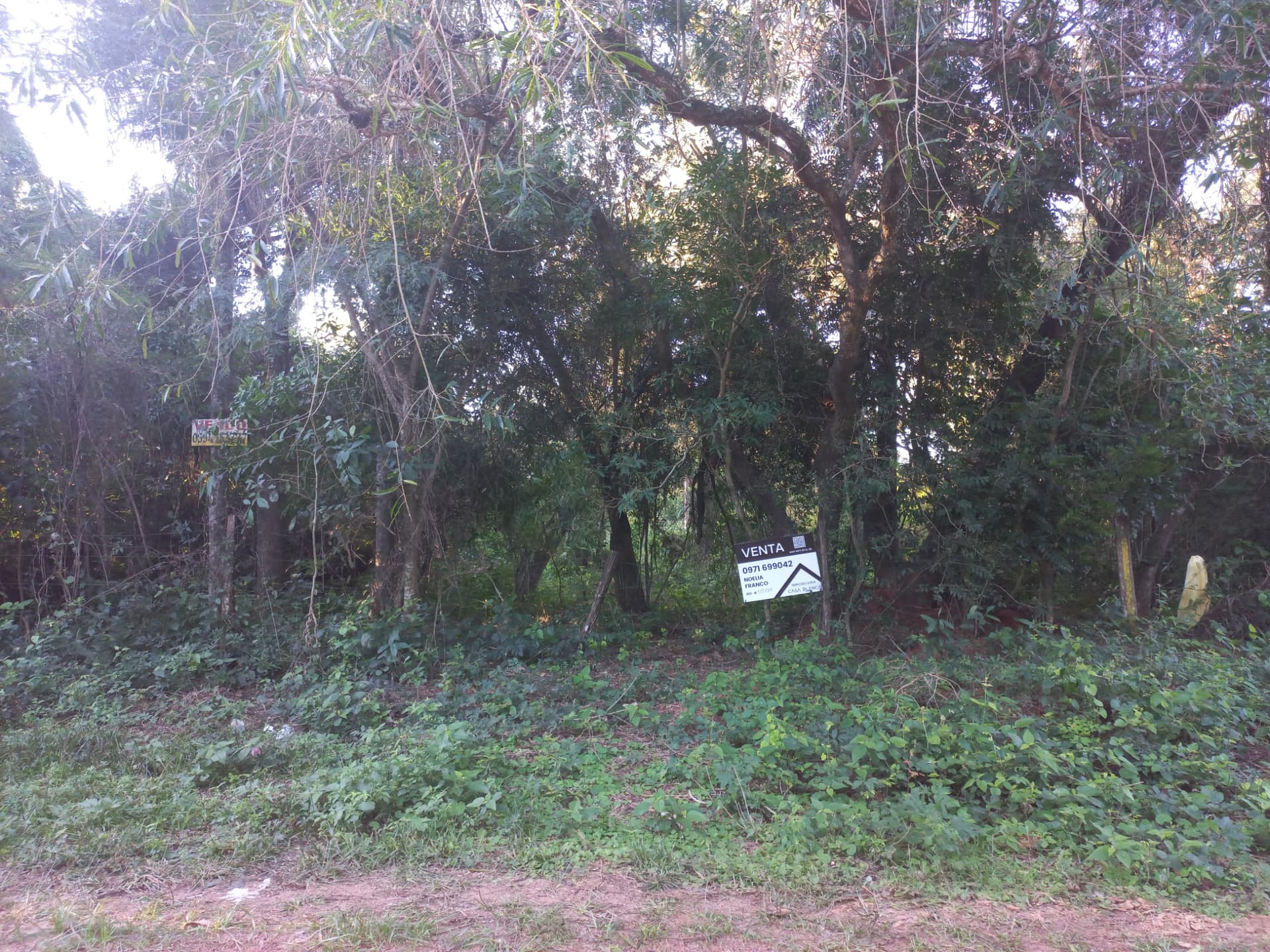 Terreno en Aregua, A 1,7 km del Centro, foto 2