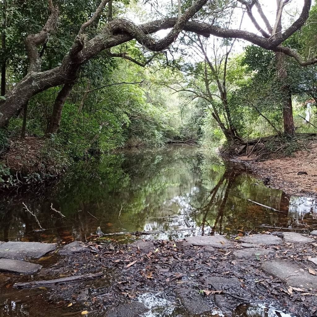 estancia en Caapucu - Departamento de Paraguarí — foto 3