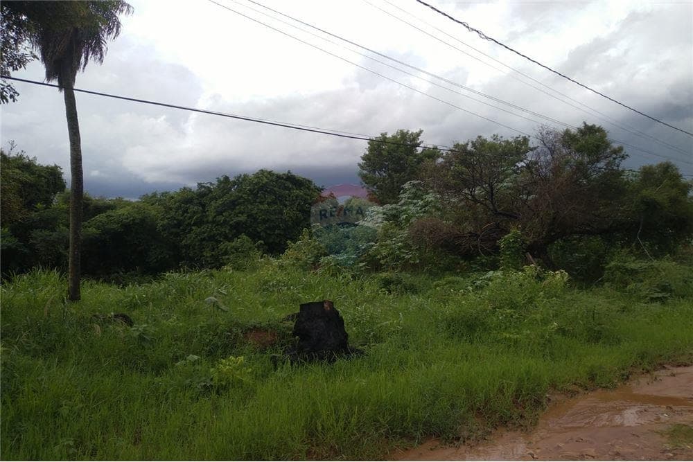 Terreno los jardines, Luque, foto 4