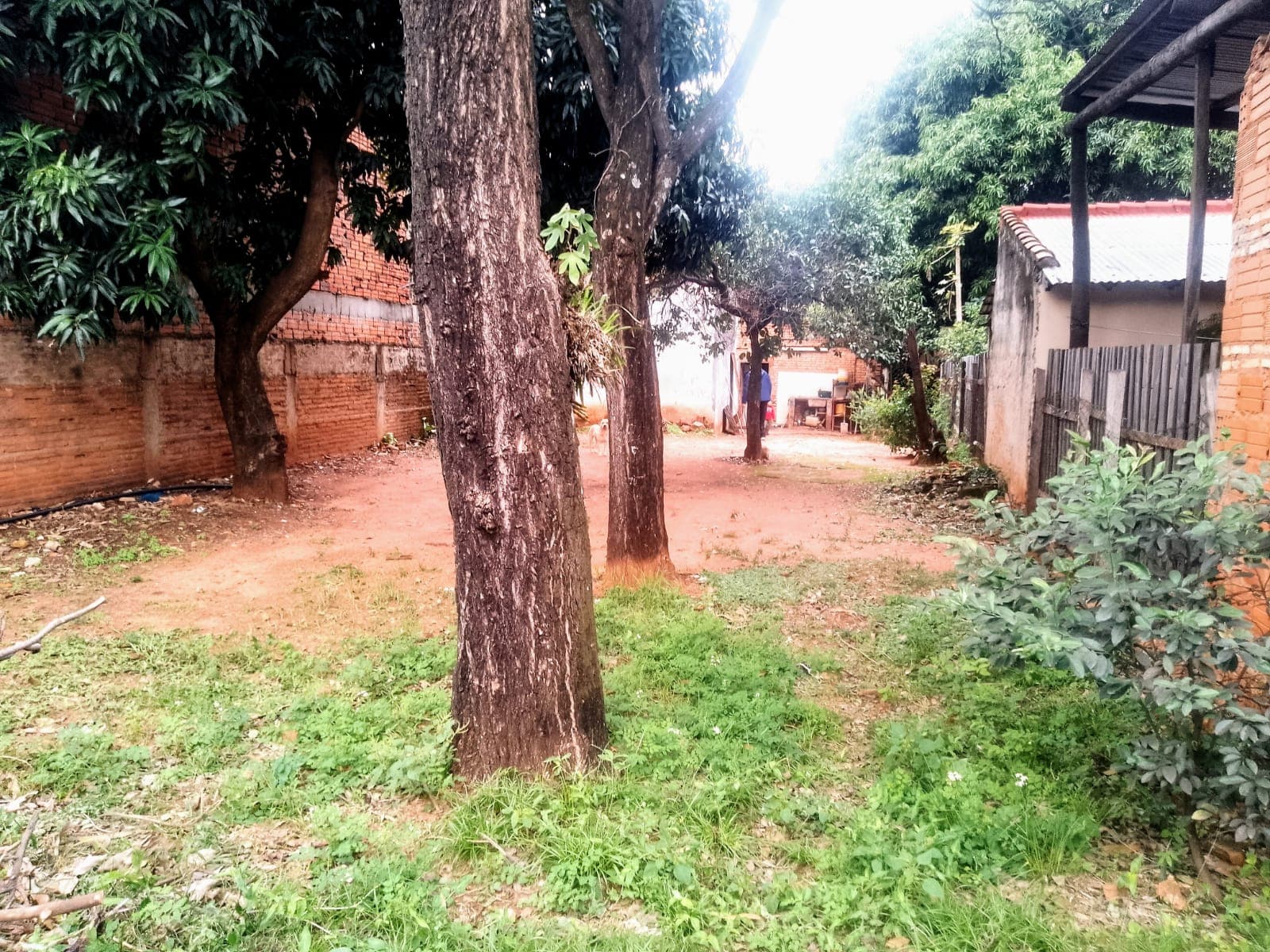 propiedad en fernando — foto 2
