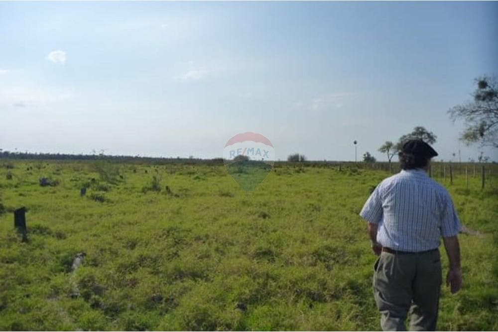 Estancia de 731 HA en Pte. Hayes - Ruta 12 - Ideal Cría y Recría Ganadera, foto 2