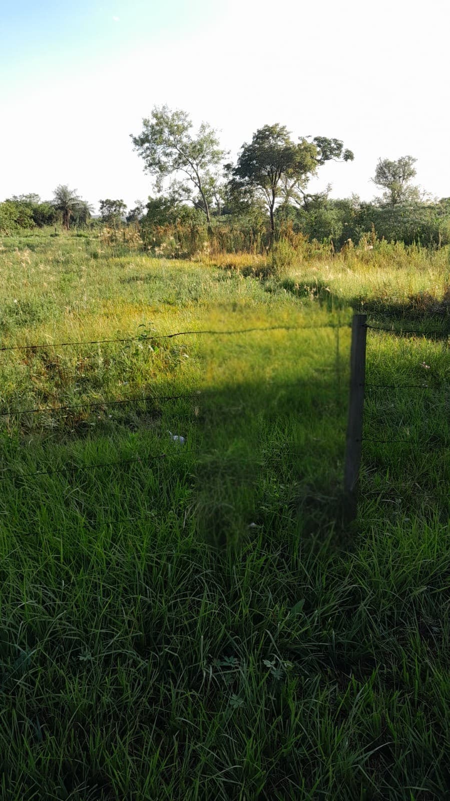 Terreno en san ignacio misiones sobre ruta!!, foto 1