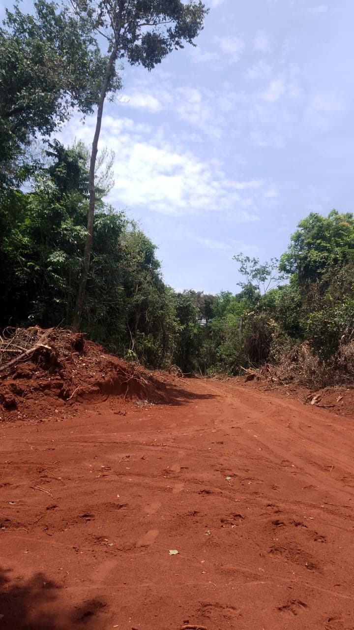 En venta 5 hectáreas en Dpto de Paraguarí, foto 5