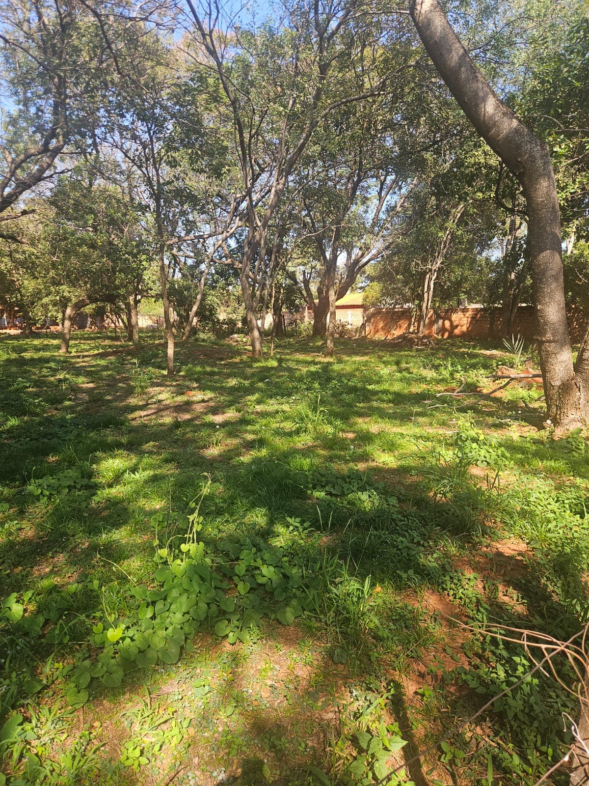 Terreno en Luque para desarrolador zona rakiura, foto 3