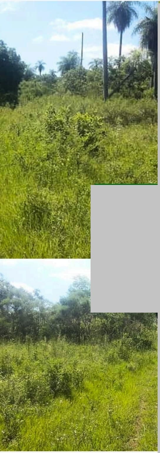 Oferto terreno en benjamin aceval, foto 1