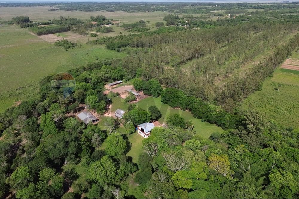 Estancia en caaguazu coronel oviedo, foto 2
