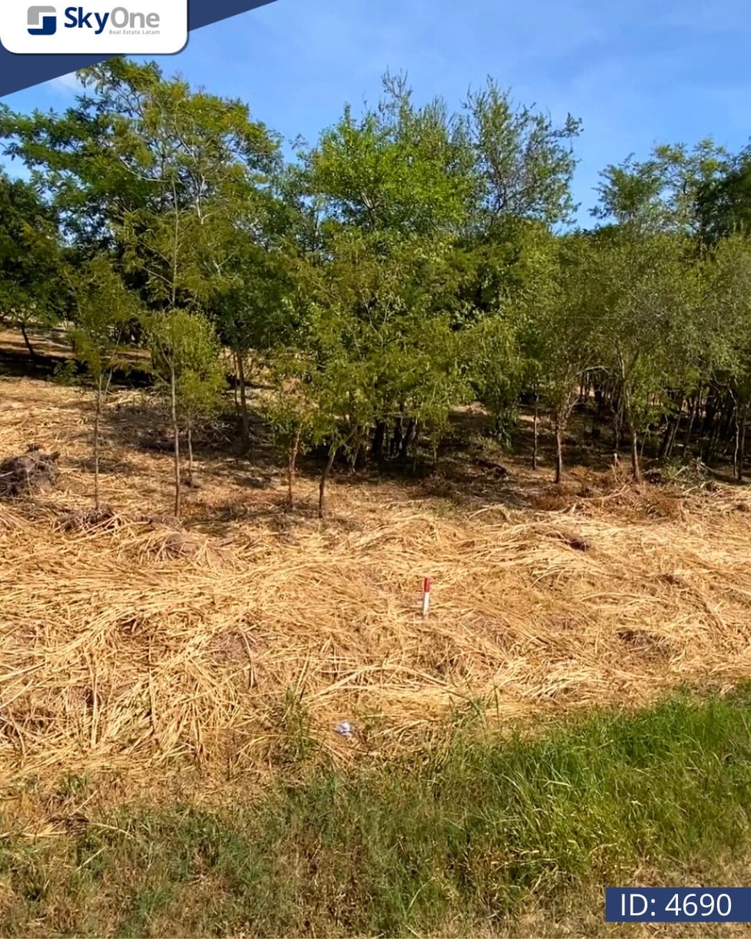 Terreno en venta surubi’i zona centenario, foto 2