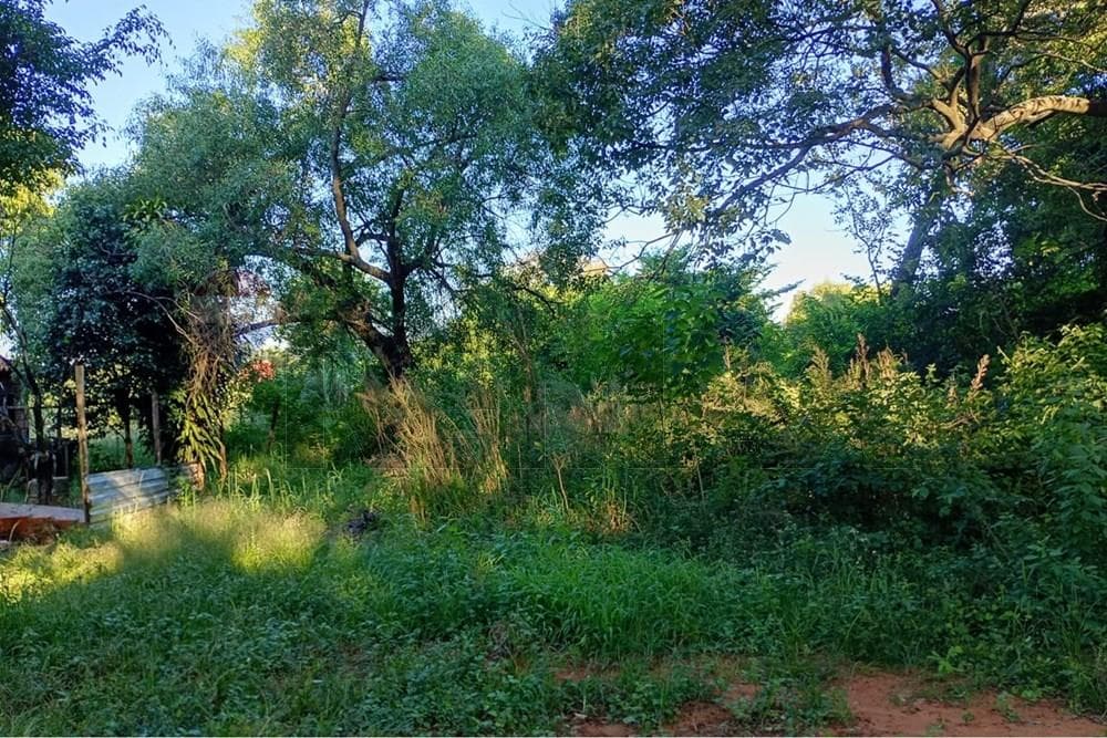 Terreno en Luque - isla bogado, foto 3