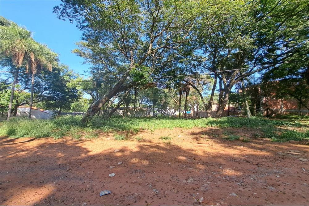 Terreno, foto 2