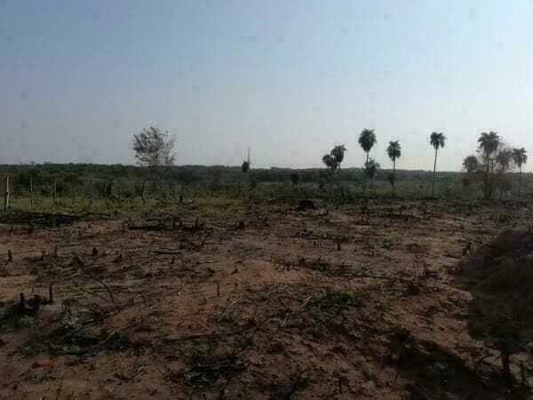 En venta – propiedad rural en santaní, foto 4