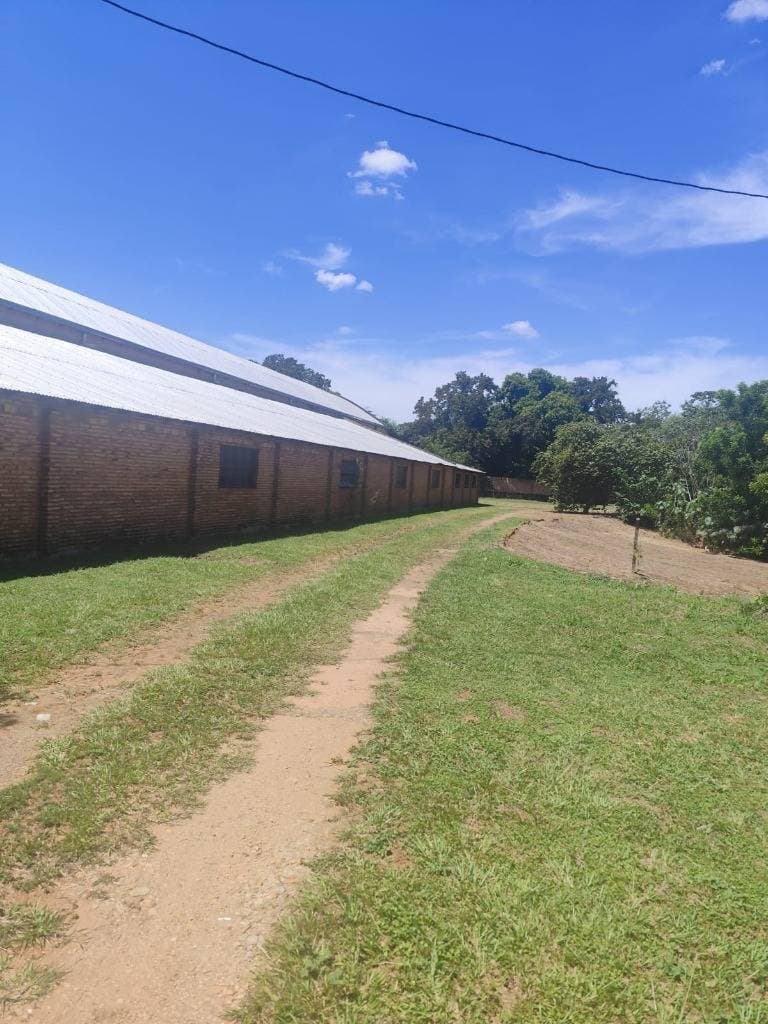 Propiedad de 30.594 m2 en Capiatá sobre ruta 2, km 18, foto 3